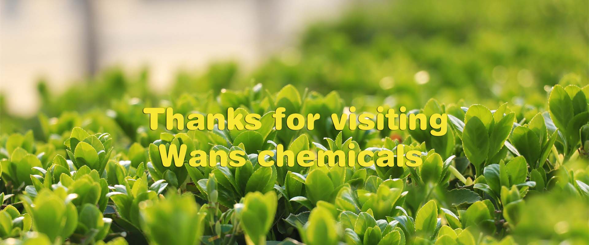 tanks for visiting wanschemicals