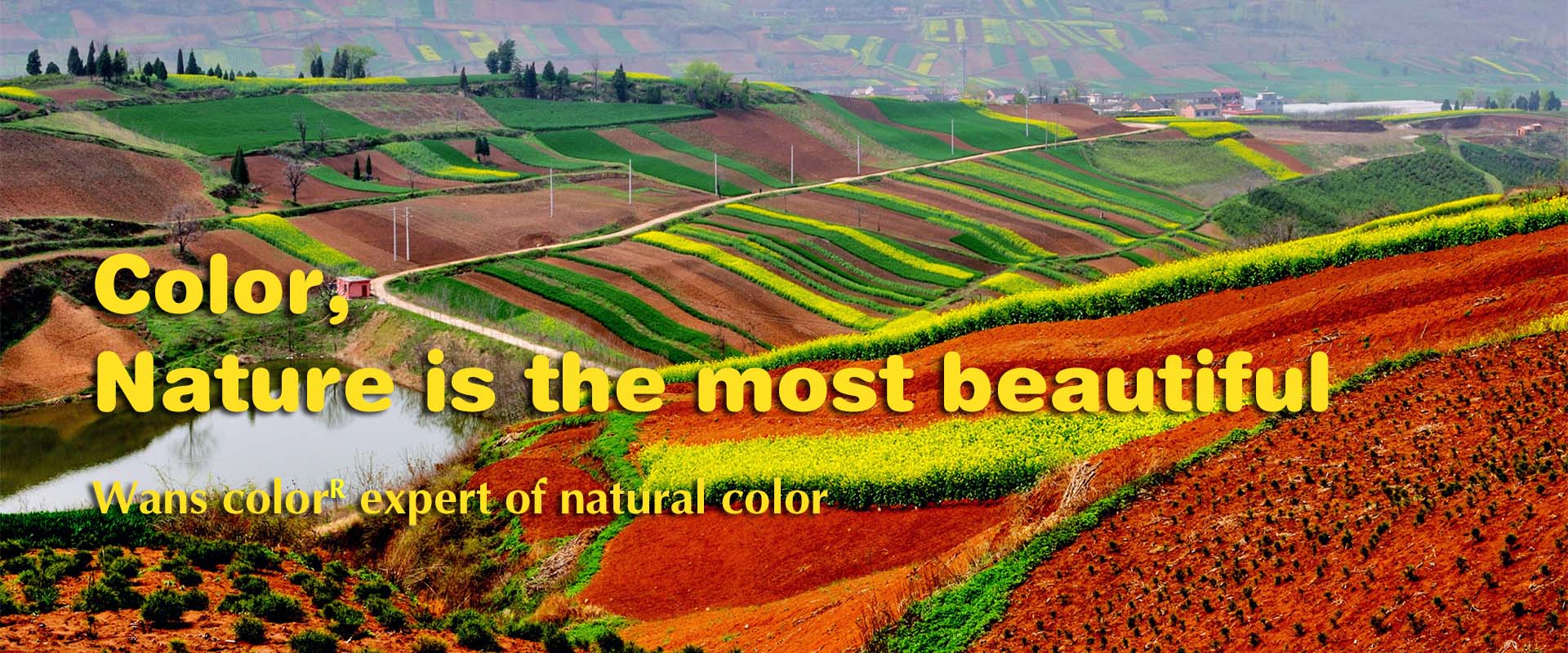 color natural is the best beautiful