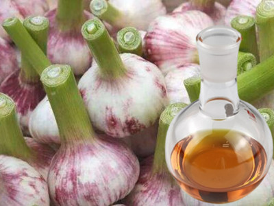 Garlic oil bulk 100% Pure and Natural