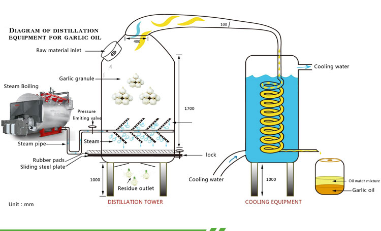 wanschemicals Steam Distillation Technique for Garlic Oil Production